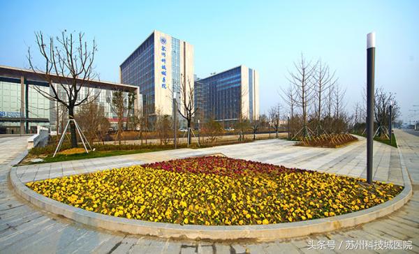 复旦医院肿瘤专家出诊时间,2021复旦大学附属肿瘤医院