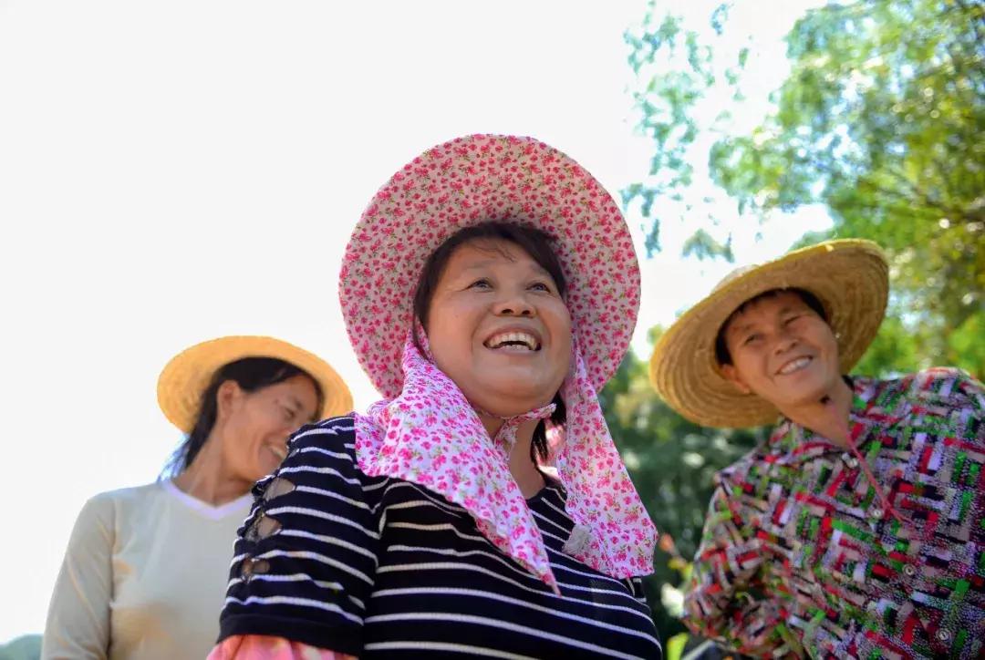 贫困户脱贫了怎么增收致富,农村脱贫致富情况