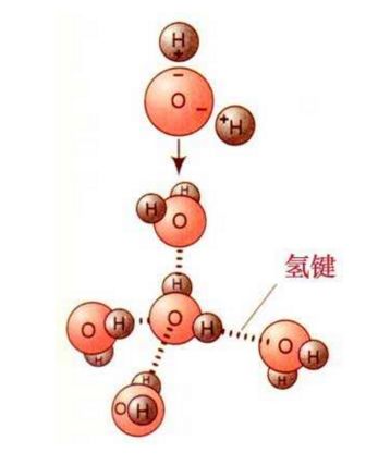 「万万没想到」为什么过了水的纸就会变皱而且恢复不了？