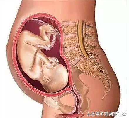 摸肚子能感觉胎儿入盆吗,这些分娩信号你都知道吗