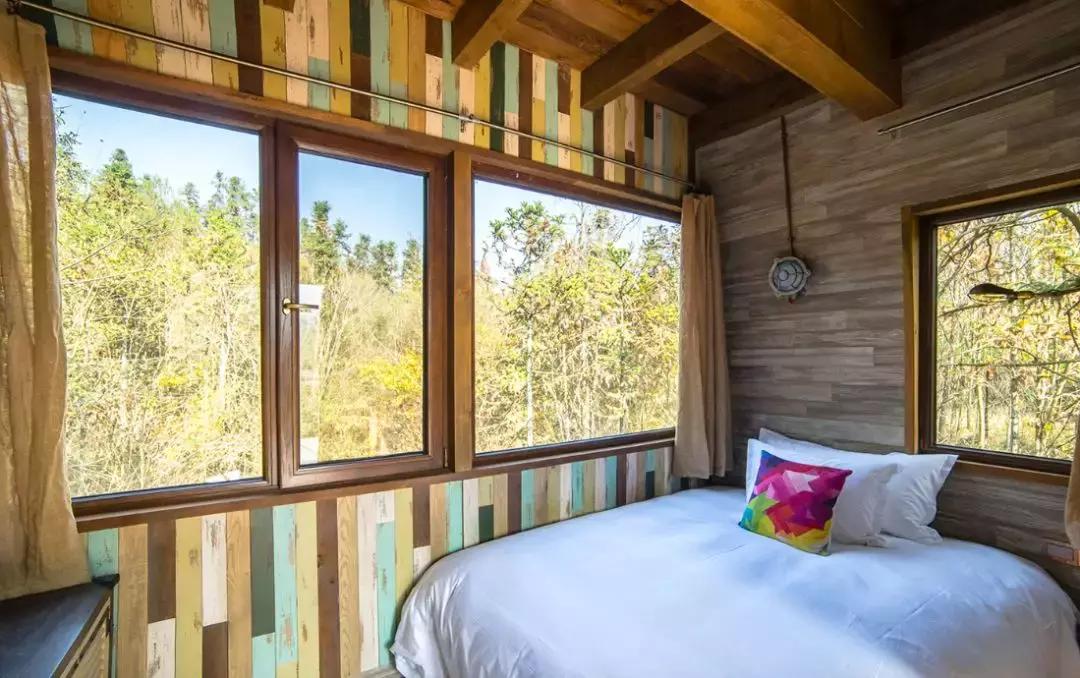 这片媲美京都的红叶之森只藏15栋梦幻树屋，杭州1.5h直达！