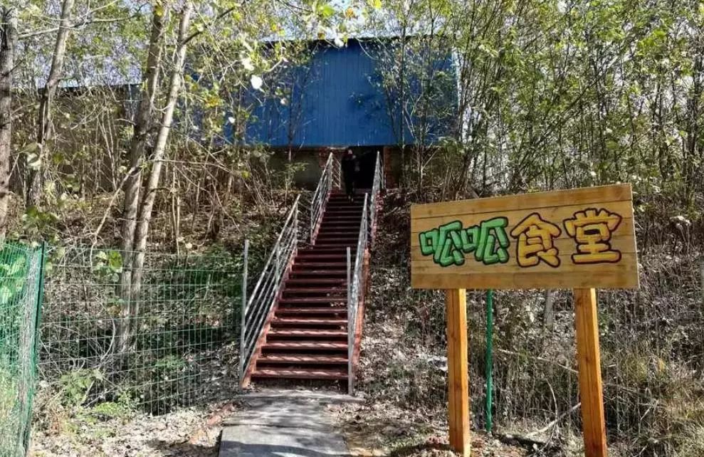 亲子网红庄园,网红亲子农庄在哪里