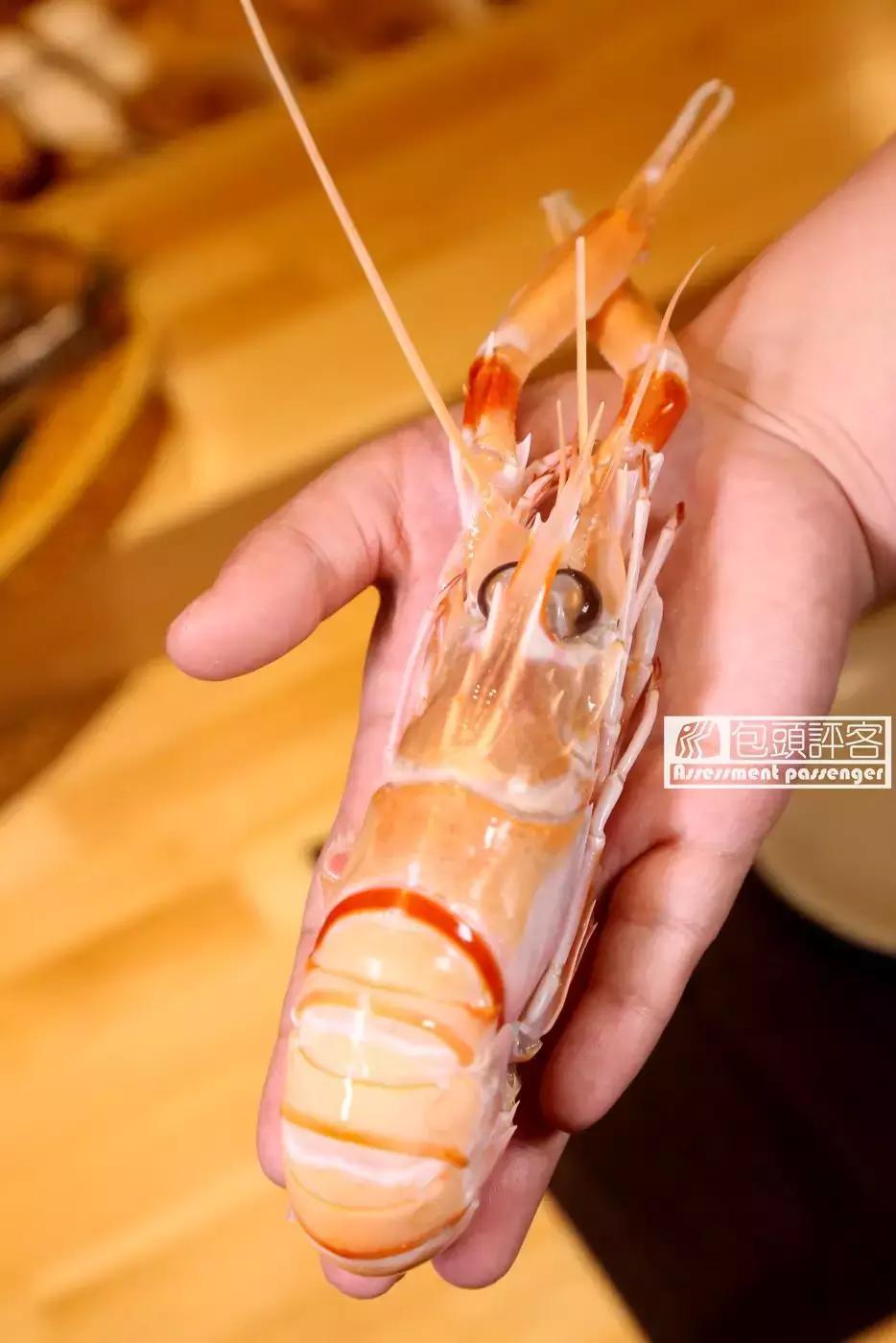 包头必吃夜宵好去处,包头自助日料店推荐