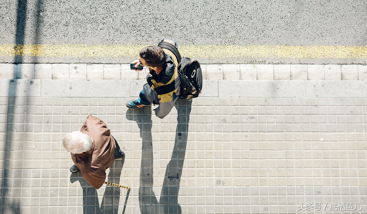 新手养互动性好的小型鱼,好养又皮实的小型鱼