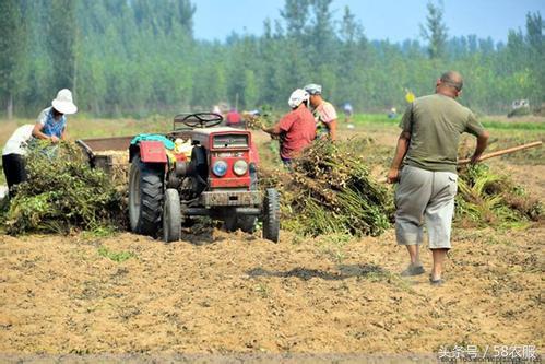 10.18农服资讯:电商法:个人网销农副产品不交税