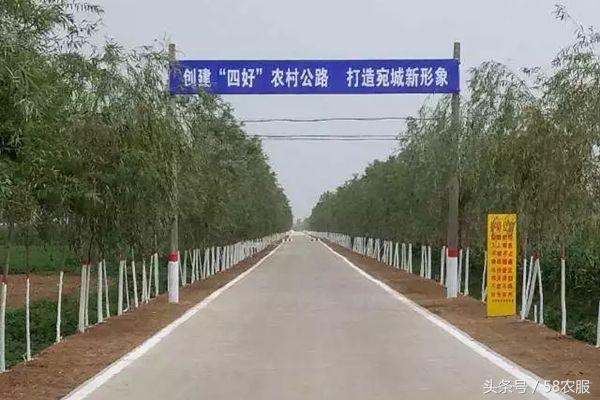 10.18农服资讯:电商法:个人网销农副产品不交税