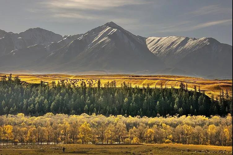 大美青海旅游自驾拼车,大美青海旅行天堂