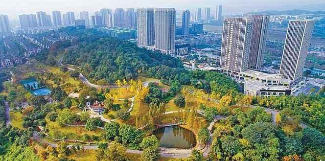 茶园新区江南小区房价多少,茶园新区鲁能房价