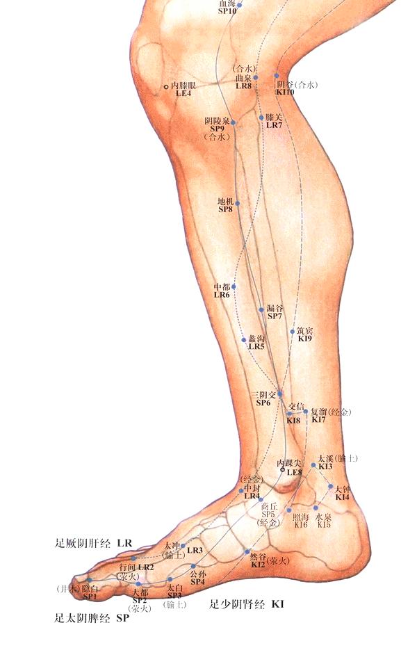 针灸穴位图及作用,针灸人体穴位图大全详解