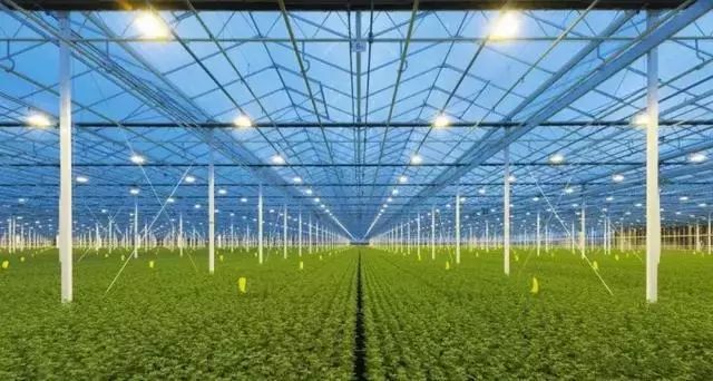荷兰农业怎么炼成的,荷兰农业领先世界的秘密