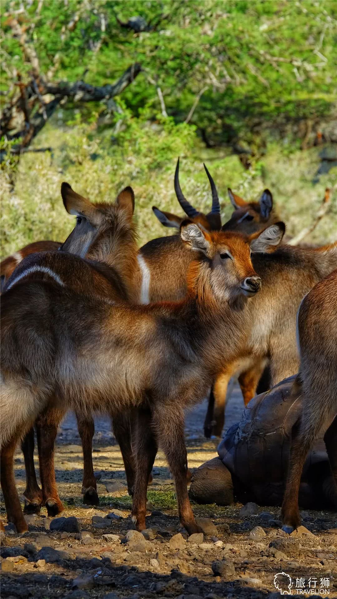你喜欢什么样的海水,你喜欢什么样的海
