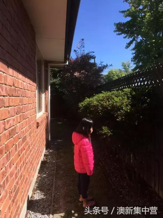 新西兰租别墅攻略,新西兰租房最全攻略