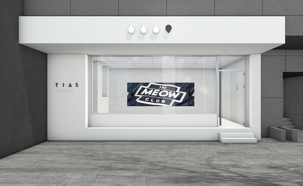 天天玩潮，你知道自己什么潮流段位吗？