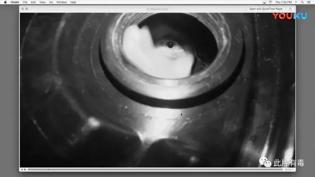 解除好友2暗网：好于96%恐怖片！看完想把电脑扔了……