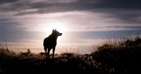 十个创业九个死的感悟,9个真实创业故事