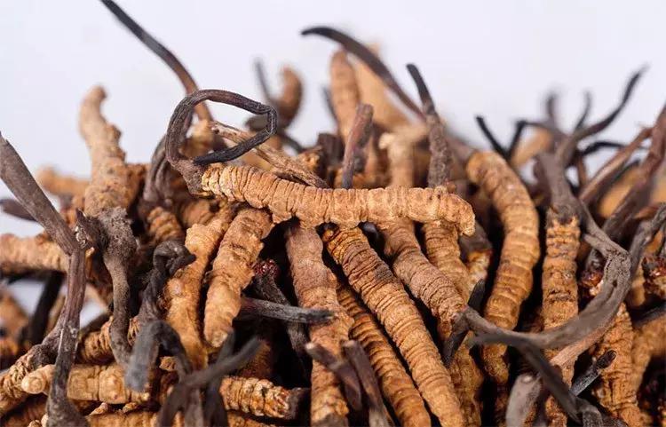 中科国医与中管院联盟,中科国医共生赋能