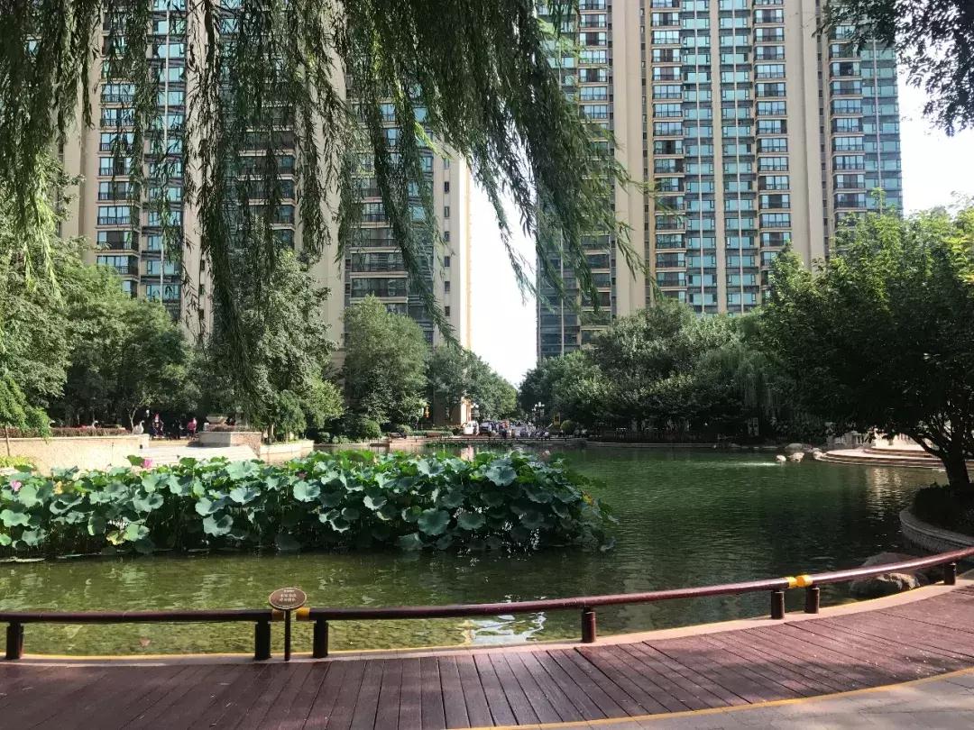 石家庄长安区房价最新价格表,石家庄二环内房价多少钱一平