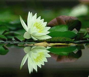 晚上睡不着的时候看看这10句话,送给晚上睡不着觉人的十句话