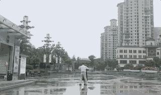 沙漠骆驼为啥突然火了,最近很火的沙漠骆驼