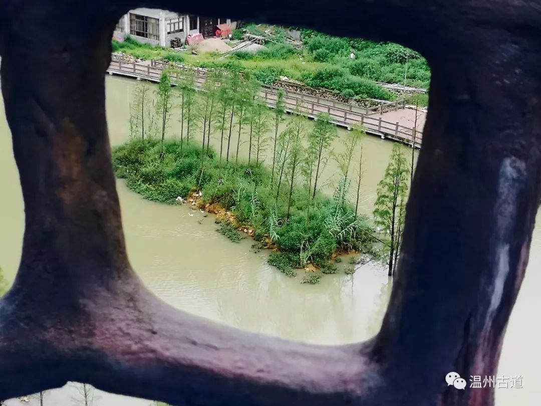 瓯海瞿溪风景,远山近水如诗如画