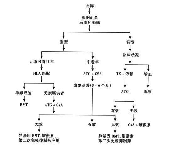 刘风再生障碍性贫血,再生再障性贫血有几种治疗方法