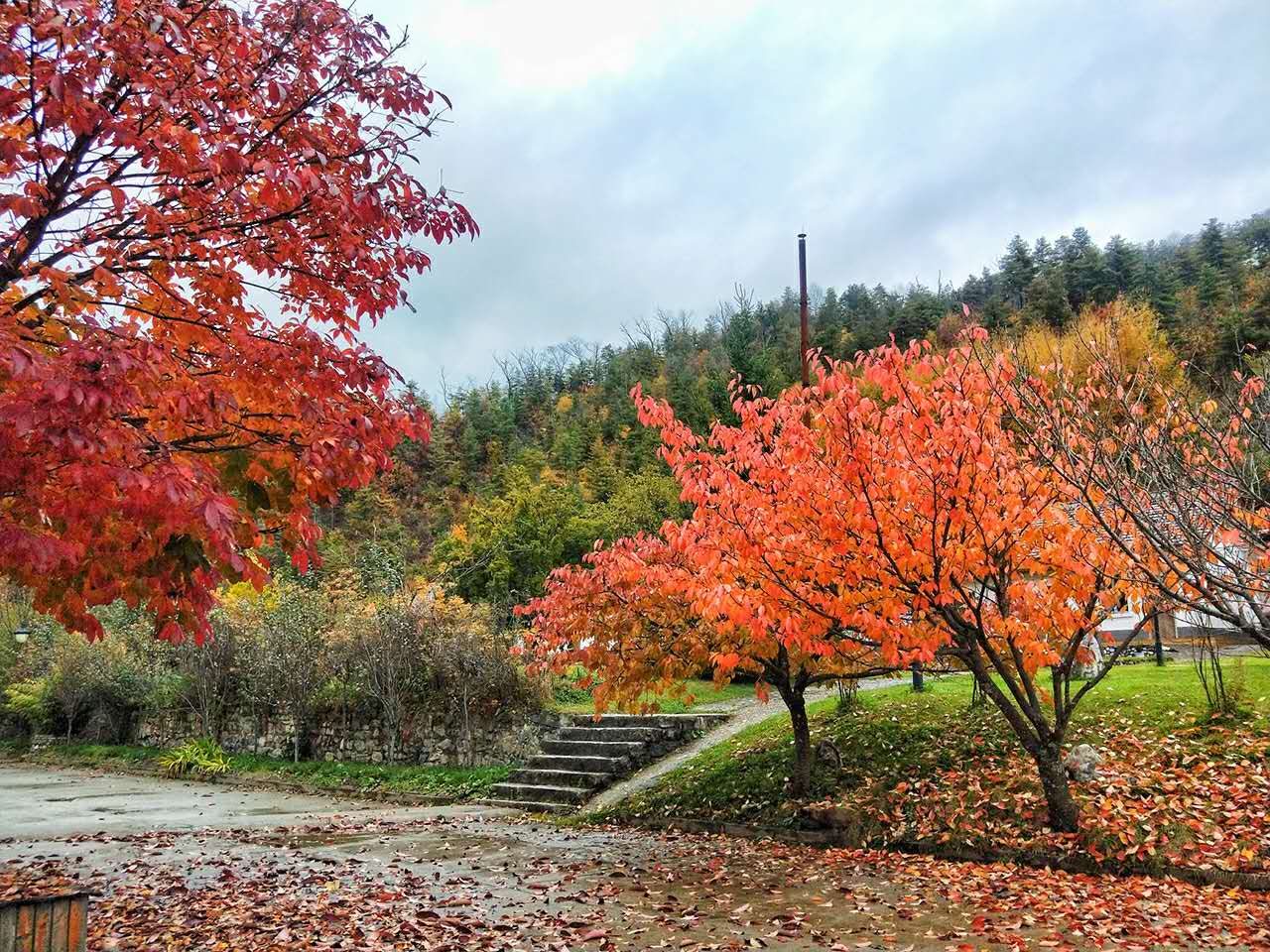 秋景西安好去处,雨后遇晴天留坝寻秋色