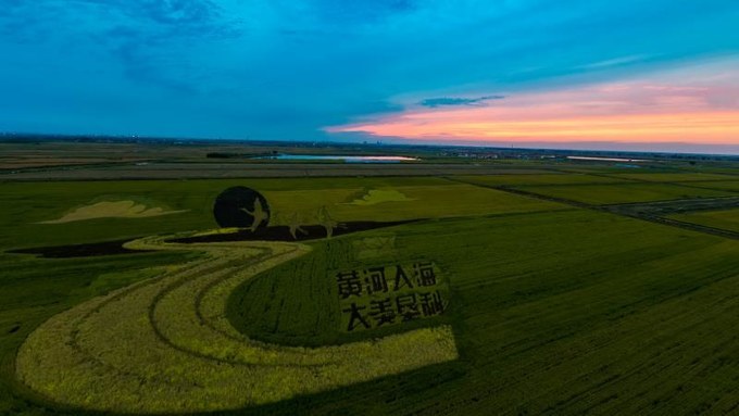 东营黄河入海口旅游攻略,东营河海交汇旅游攻略