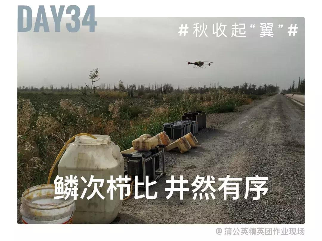 备好酒，听我们秋收起“翼”的故事！