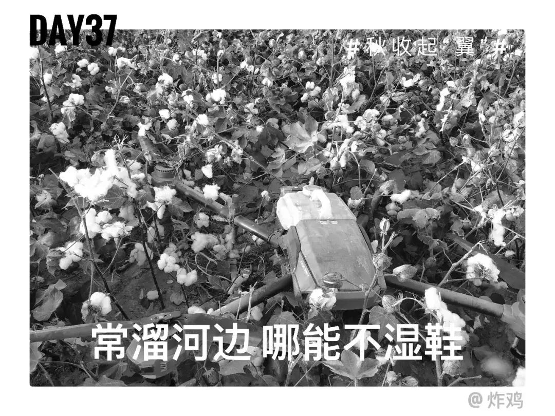 备好酒，听我们秋收起“翼”的故事！