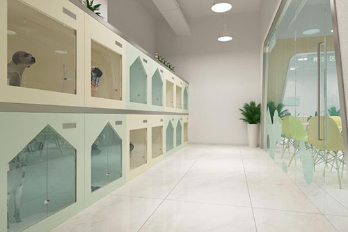 女生开宠物店需要投资多少,宠物店要投资多少钱西安