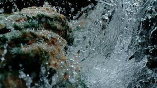 超强能量瓶！神秘的赋能89到底是啥？｜真假鉴别