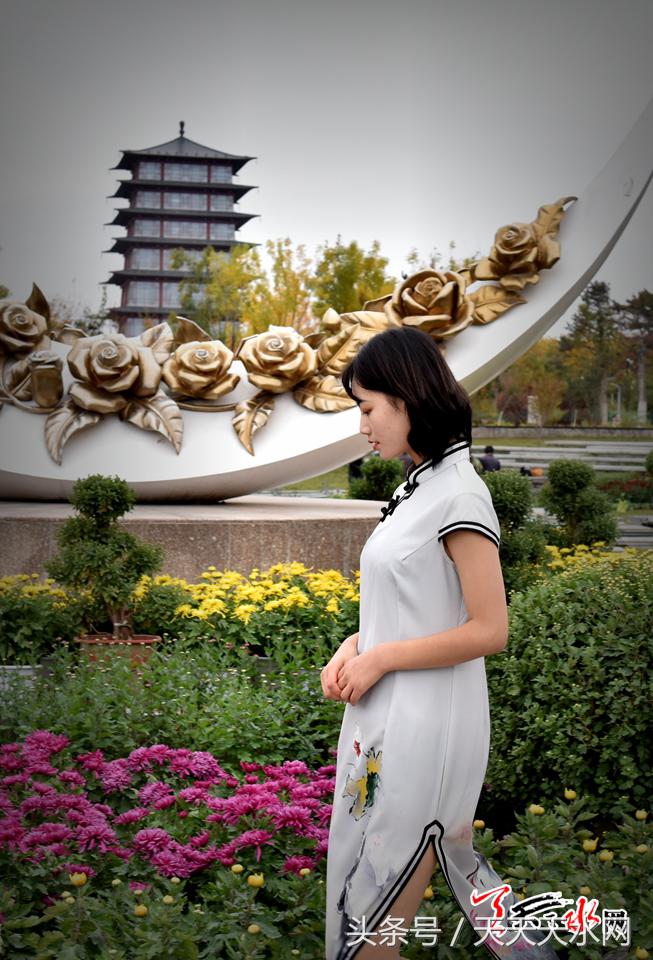 天水麦积菊展,金秋菊展日记