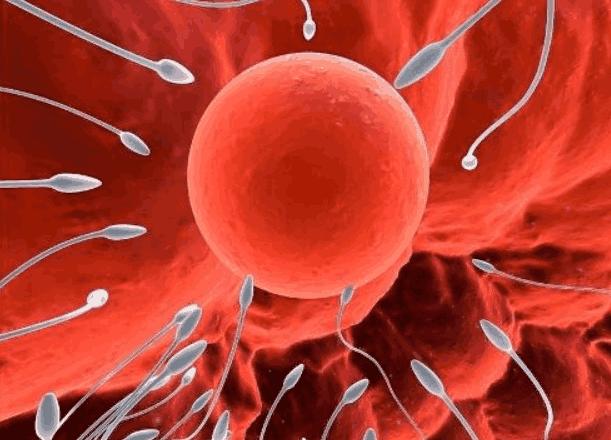 老是忘记月经怎么办,总是忘记月经的日期