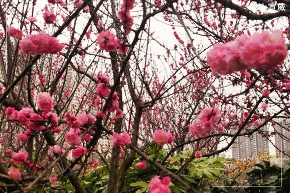 走进云南宣威,走进宣威市