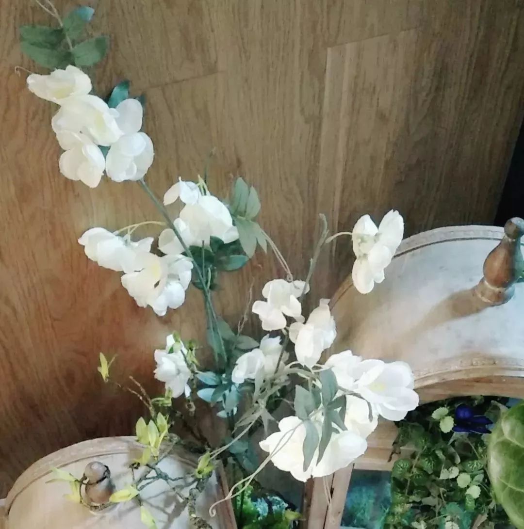 仿真花贵还是真花贵,仿真花贵还是鲜花贵