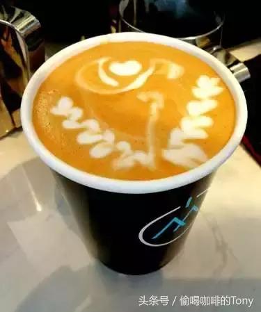 中国女排喝的茶,中国女排喝咖啡