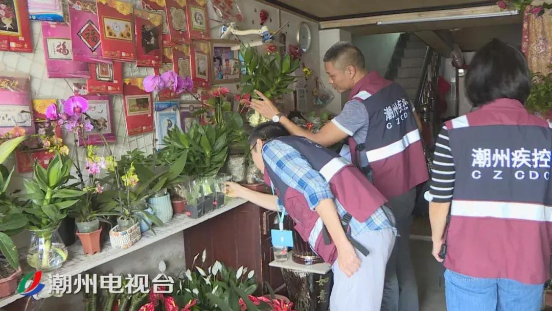 潮州登革热最新消息,潮州登革热