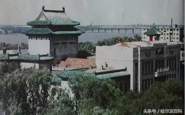哈尔滨老南岗老照片,80年代哈尔滨道外老照片大图