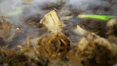 涛雒人丁明国和他的一锅两头牛！