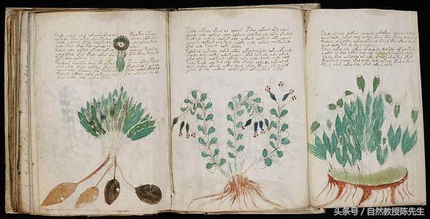 19个可能你不知道的恐怖维基百科的故事！