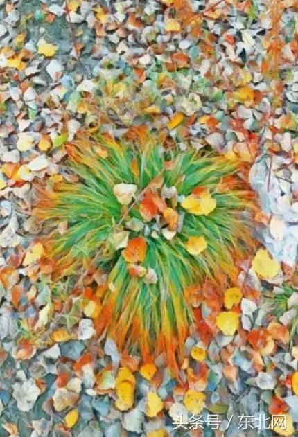 哈尔滨高校打卡,哈尔滨的风向标著名打卡地