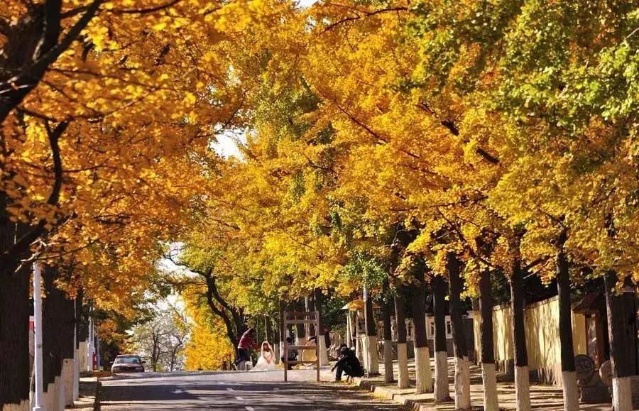 想带着你一起去旅行文案,如果有可能我带你去旅行