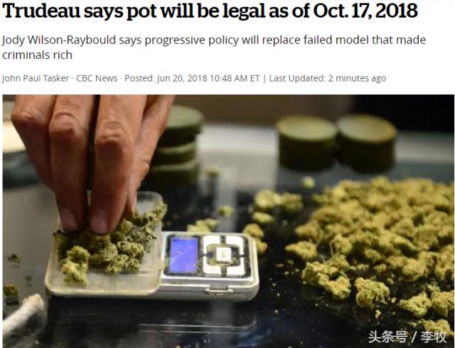 加拿大大麻合法化央视网,加拿大大麻合法化引发的疑问