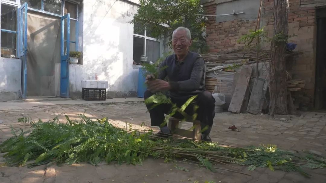 指尖上的舞蹈教案,编篓子的舞蹈