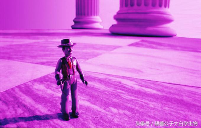 对健康有好处的居然是振动棒！没错飞机杯也能让你更健康！试试看