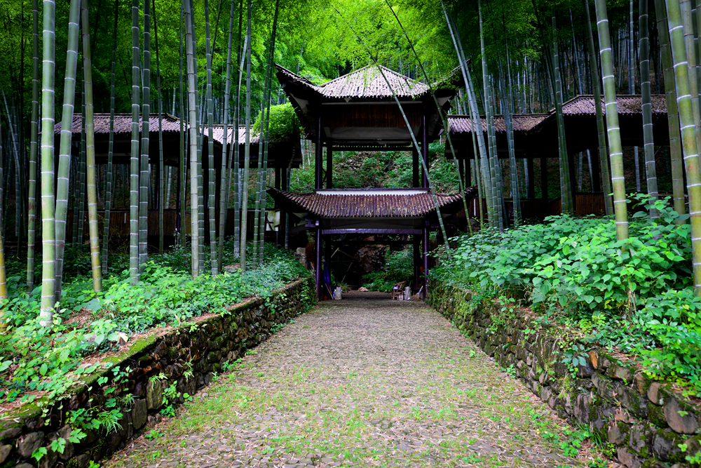 宜兴竹海的风景,推荐一个好的地方宜兴竹海