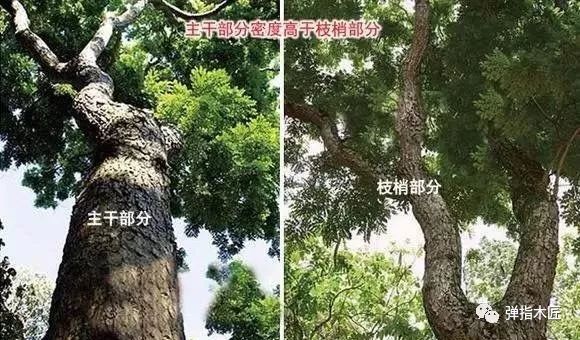 真正的小叶紫檀手串在哪里买,不同价格的小叶紫檀手串测评