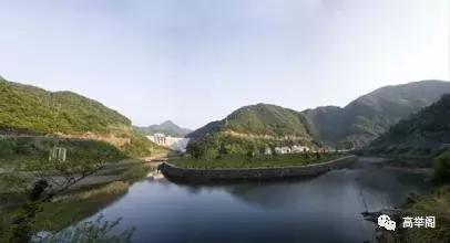 随笔——雪莲花：寻梦西溪