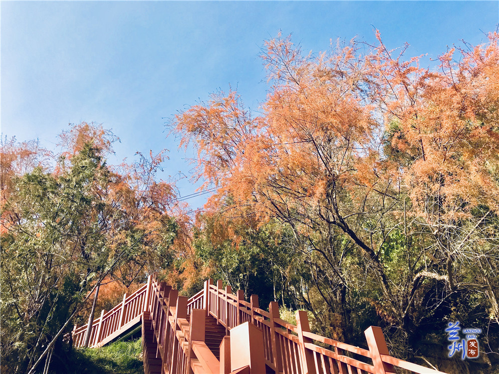 兰山最佳观景台,兰山公园玻璃观景台怎么去