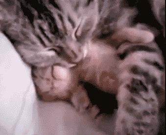 胆小的人吃不了，这款肥宅快乐堡吃了就会做噩梦